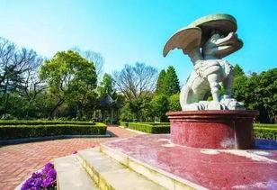 中山公园最新爆料新闻,神秘事件引发公众热议